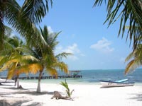 Win a trip to Jamaica